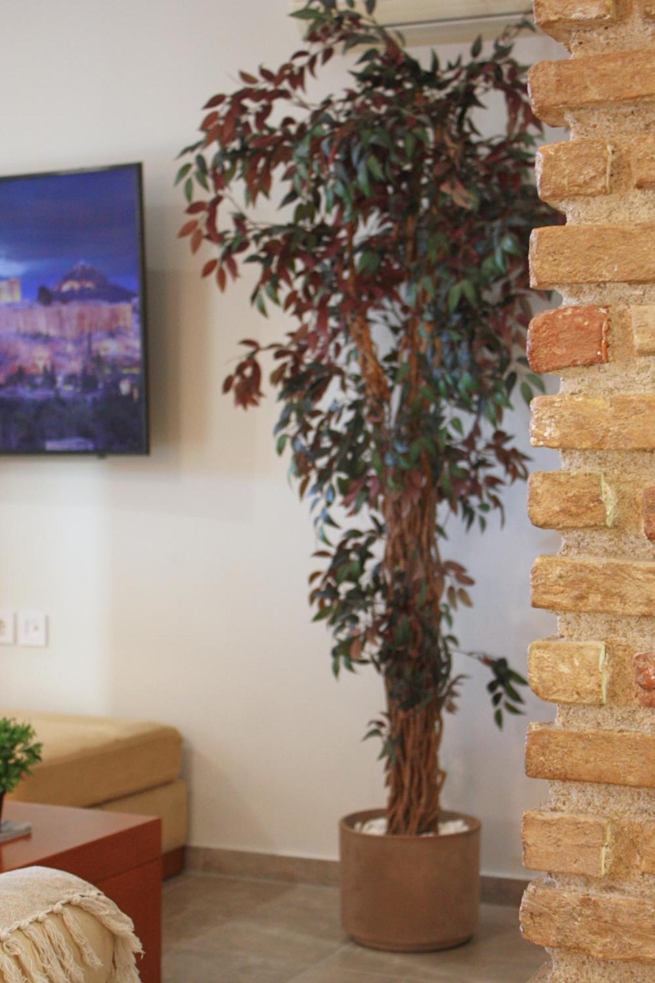 Camara Suite Kos Exteriér fotografie